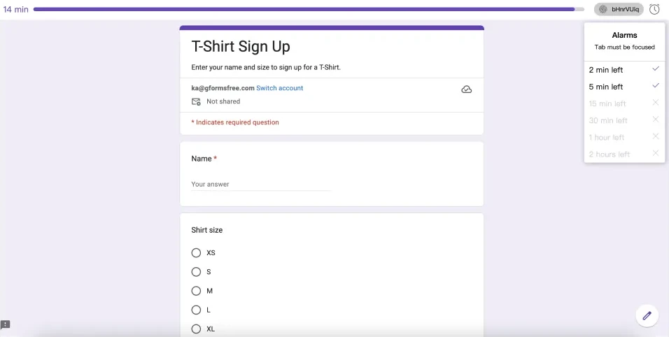 pipiform respondent view with the remaining-time bar above the embedded Google Form